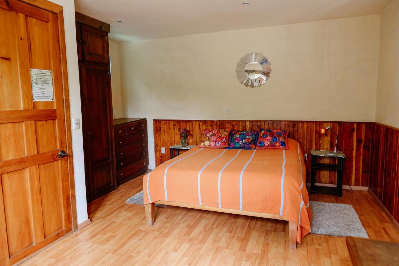 Kukurutz Residencia Hotel San Cristóbal de Las Casas Eksteriør billede